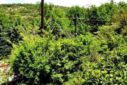 Grundstück Land Kaufen, , Acharnes (Athen West),