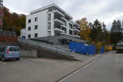 Toller Rheinblick- Helle altengerechte Wohnung im KFW 40 Energiesparhaus in ruhiger Lage im Grünen - Koblenz