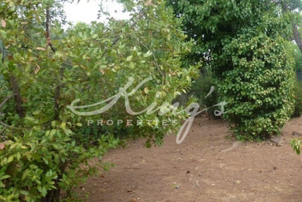 Grundstück Land Kaufen, , Alimos (Athen Süd),